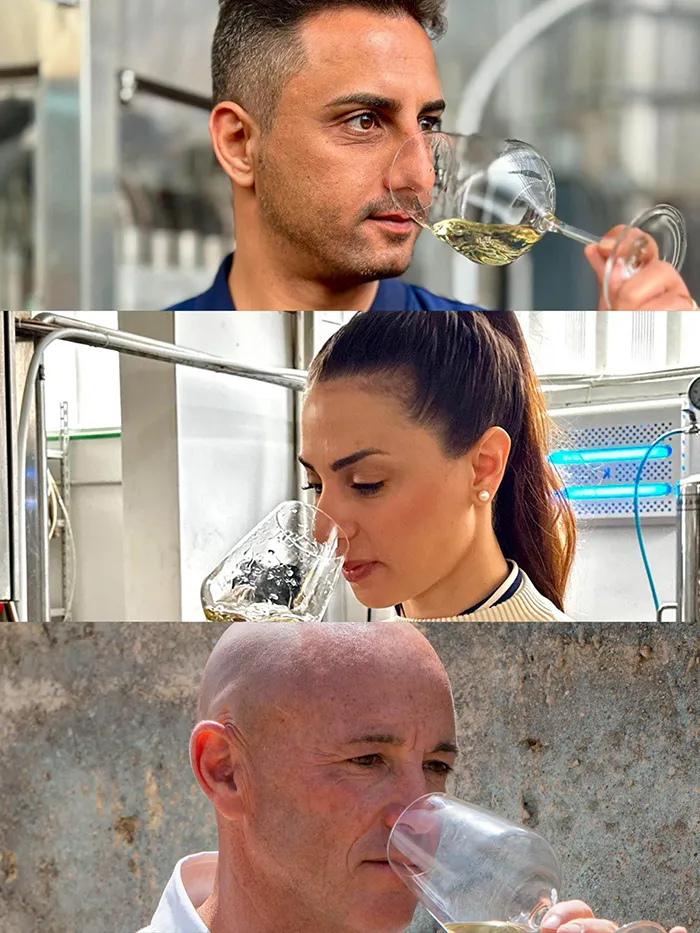 giovani Vino Sicilgaia Giovani